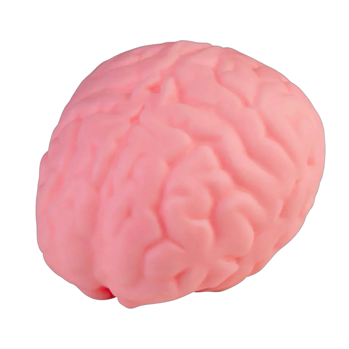 Jumbo Brain Squishy