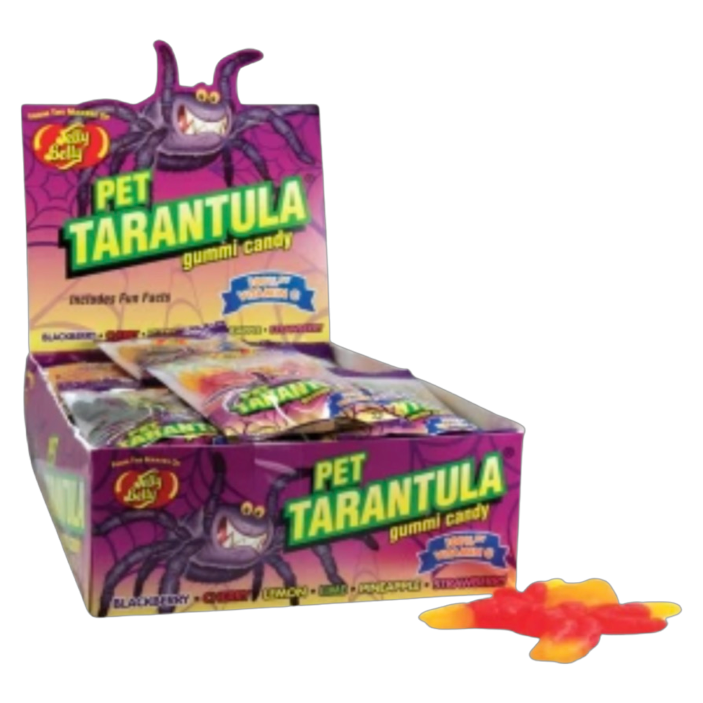 Jelly Belly Gummi Pet Tarantula Candy