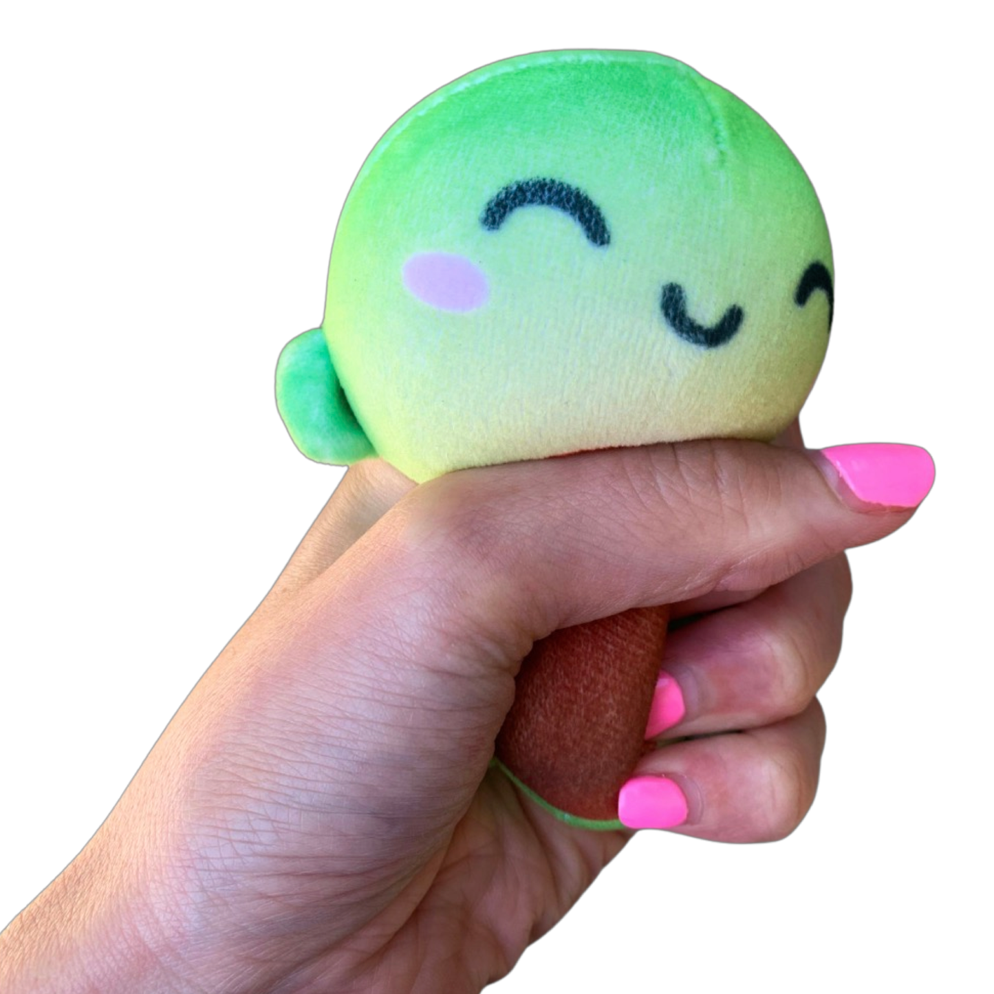 Bubble Stuffed Squishy Friends