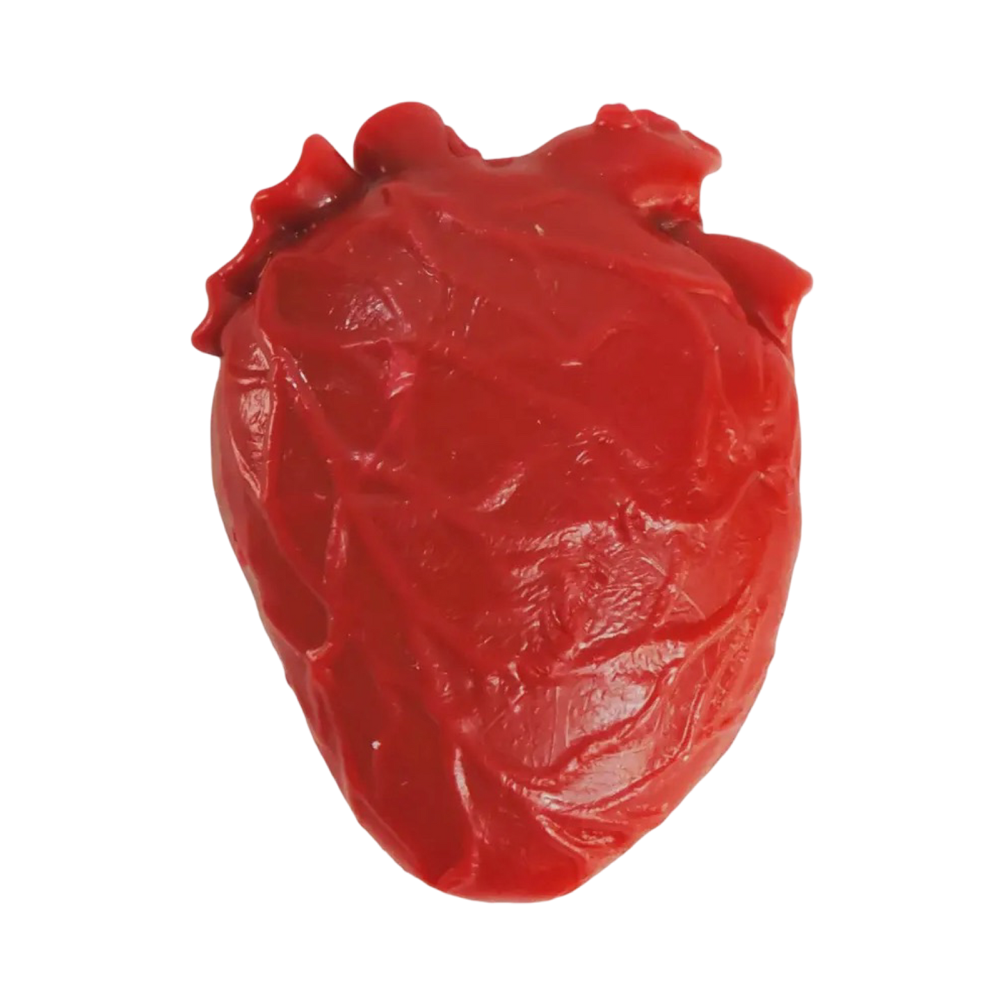 Vital organ Heart Squishy