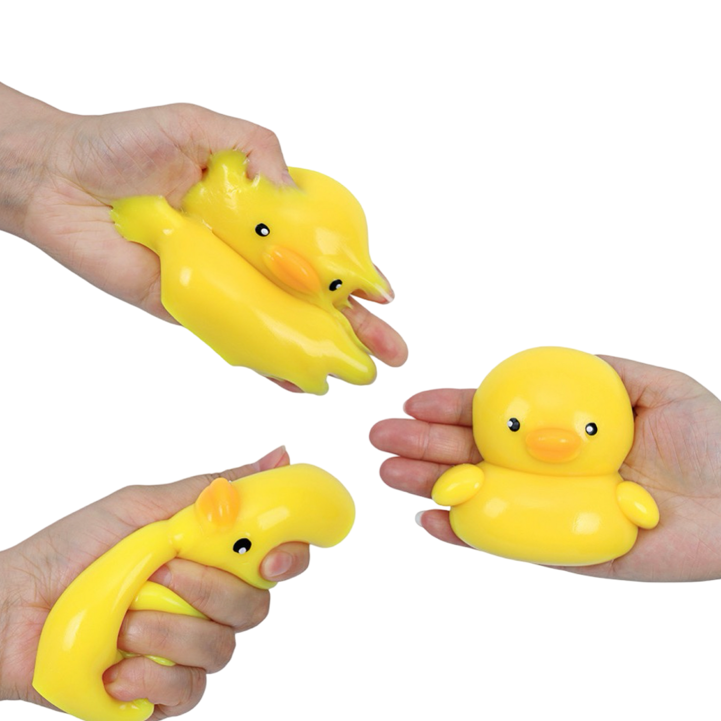 Taba Animal Takeover