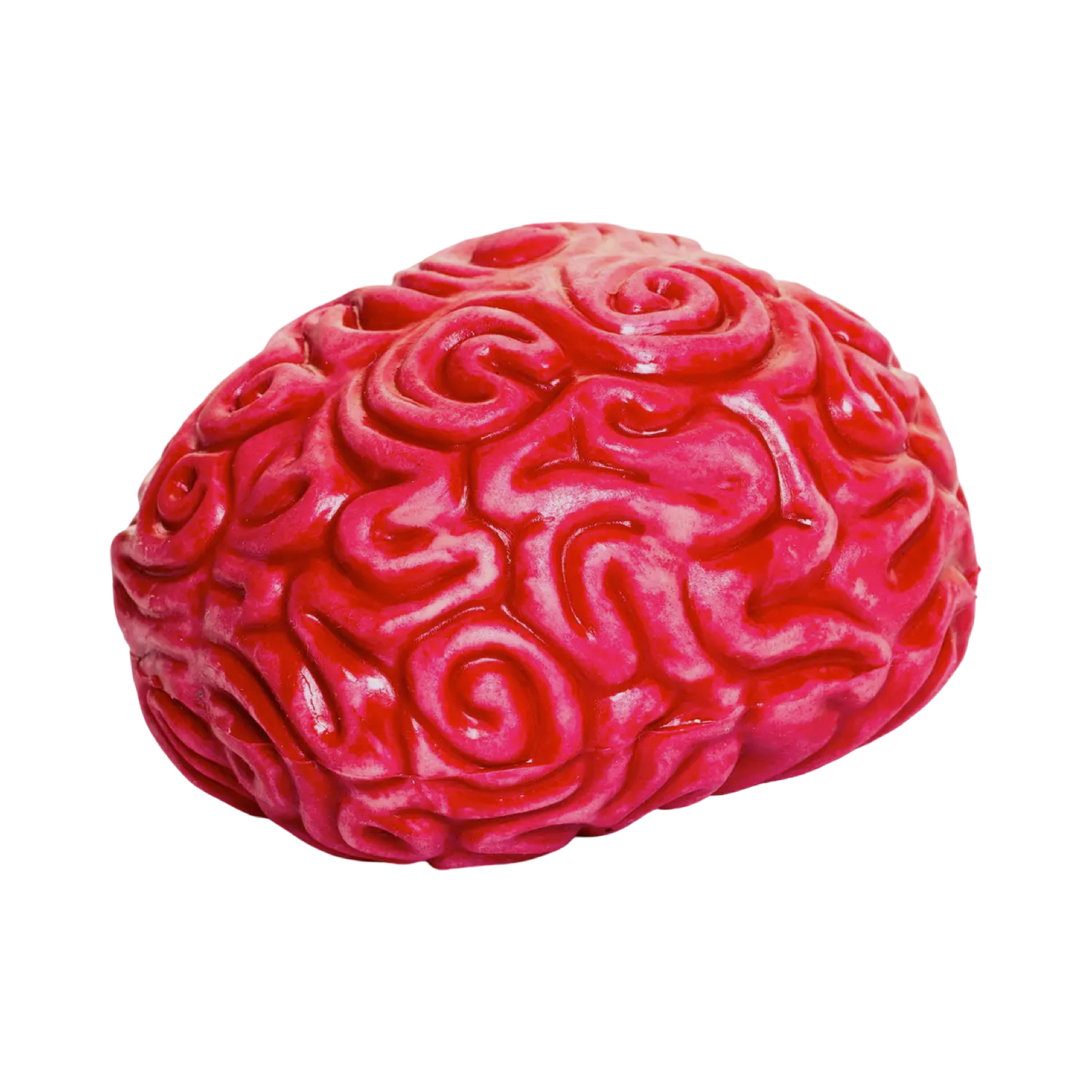Squishy Brain