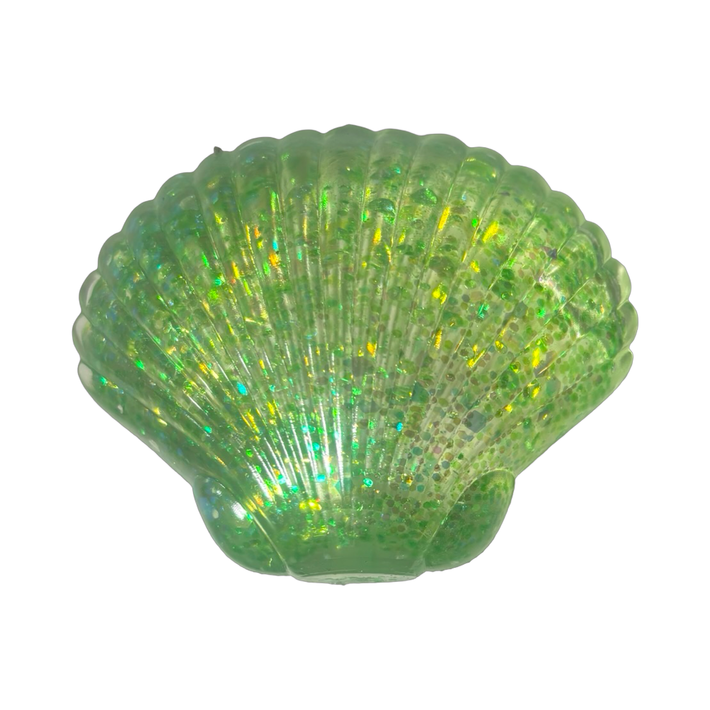 Sugar Seashell