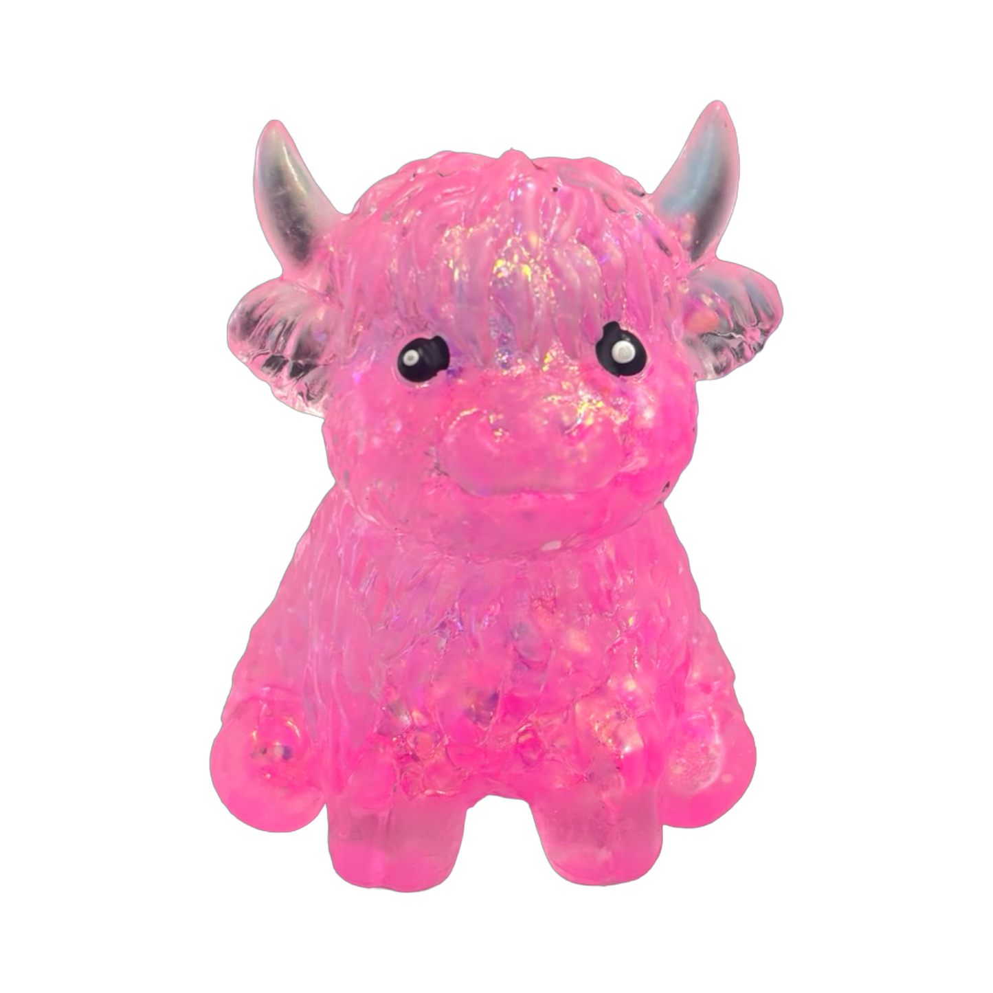 Sugar Highland Cow