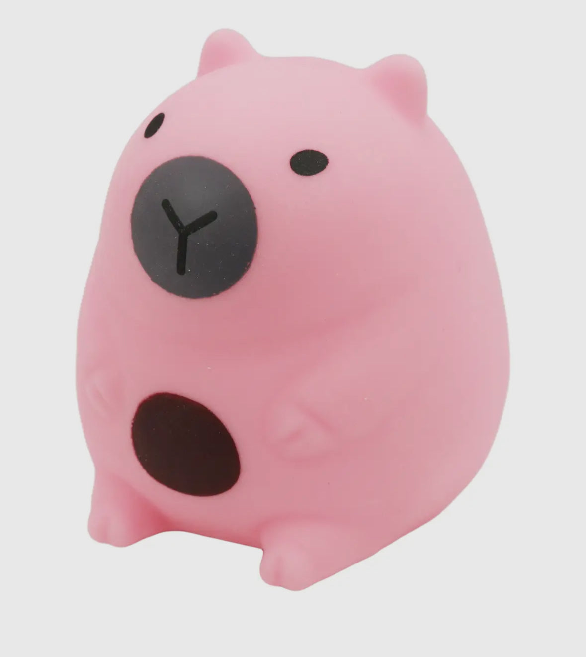 Chubby Capybara Squishy