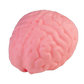 Jumbo Brain Squishy