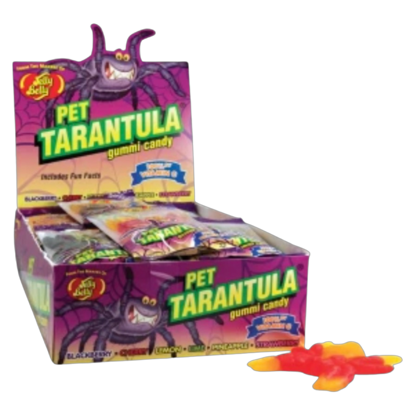 Jelly Belly Gummi Pet Tarantula Candy