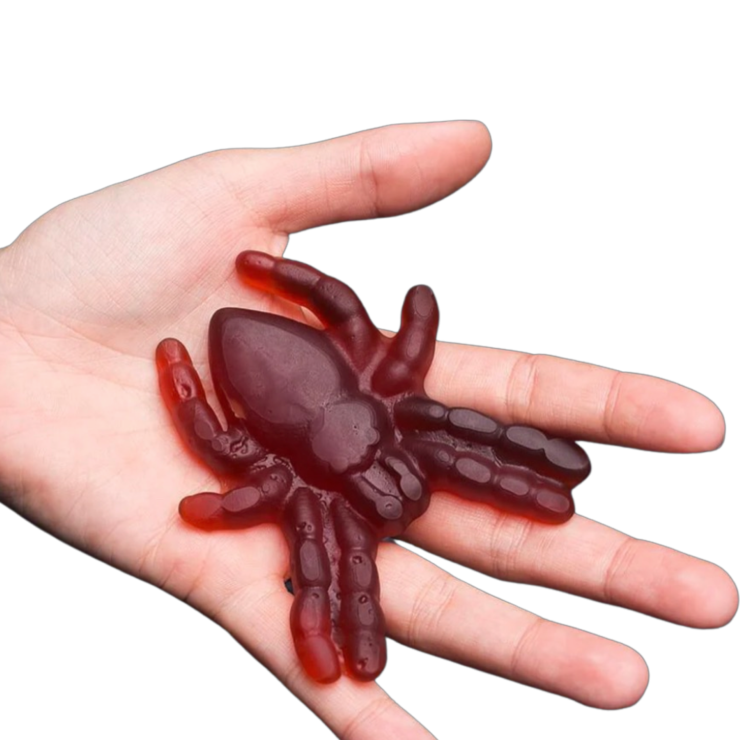 Jelly Belly Gummi Pet Tarantula Candy