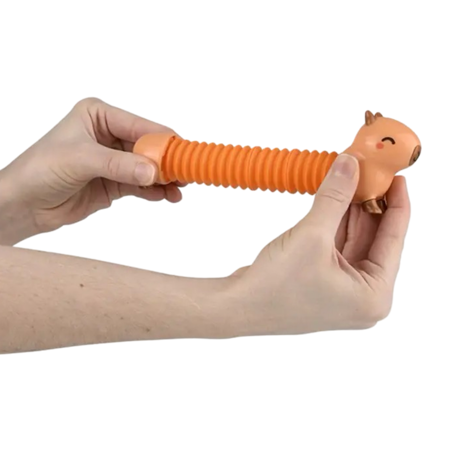 Capybara Pop Tube