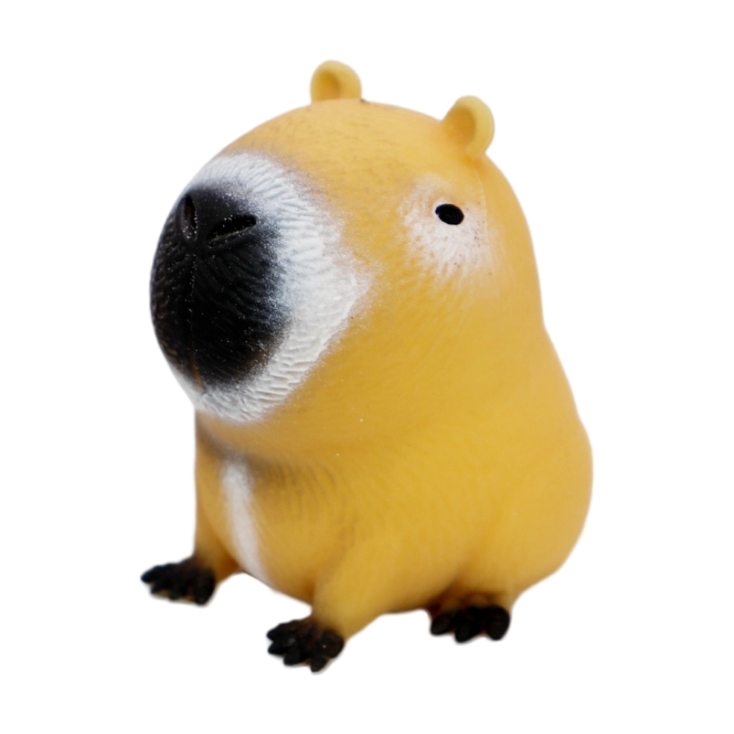 Capybara Squishy