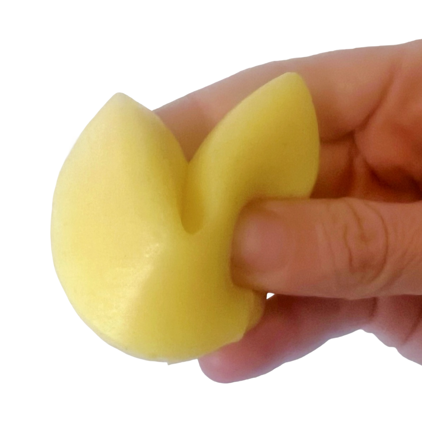 Squishy Fortune Cookie