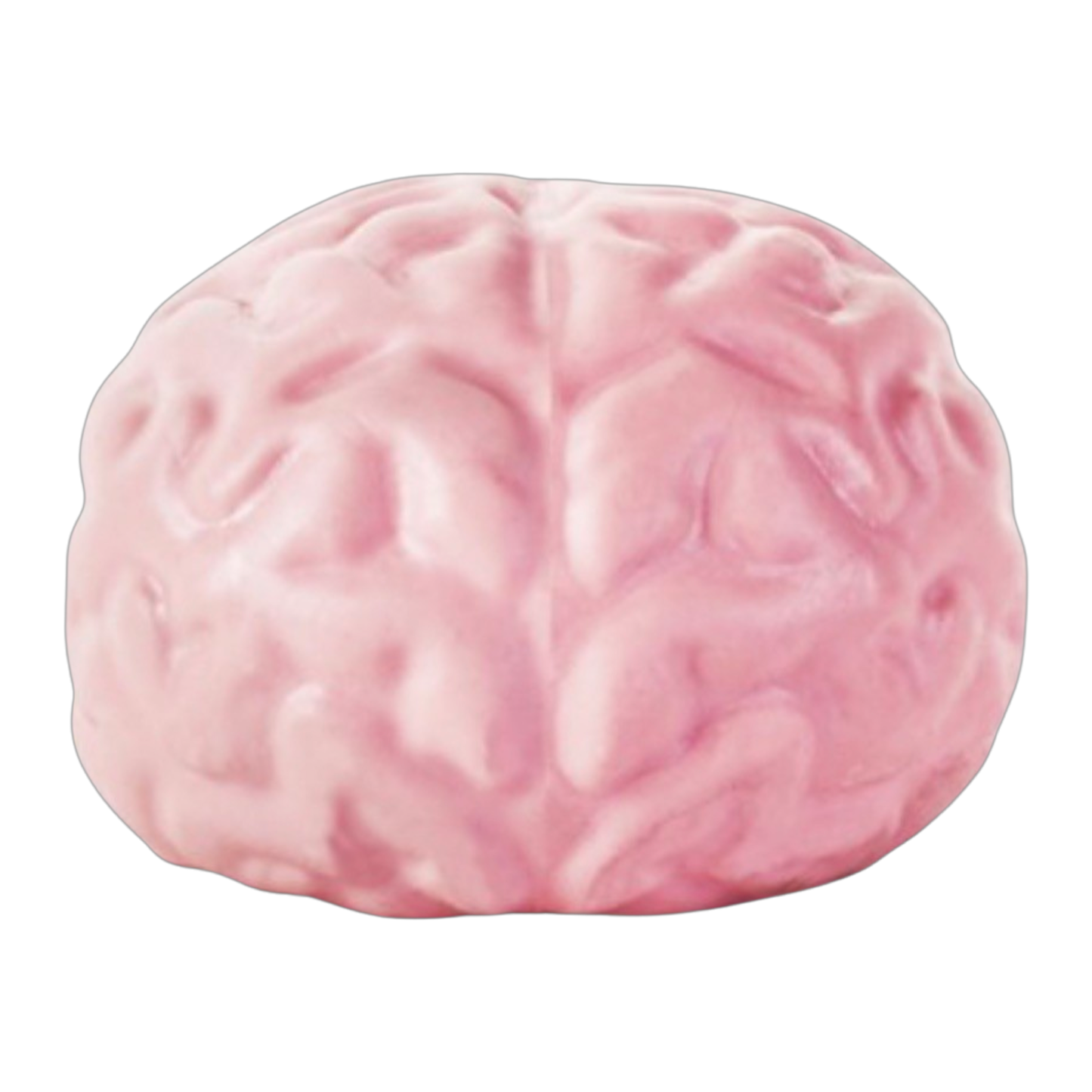 Giant Brain Stress Ball