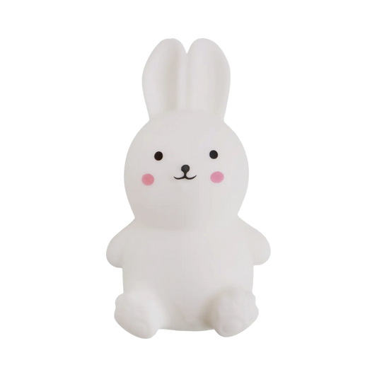 Bunny Squishy