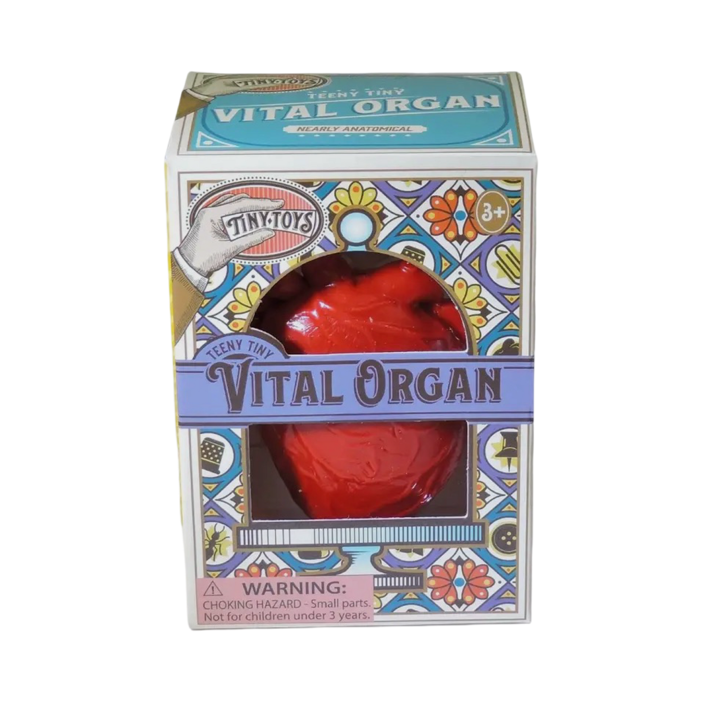 Vital organ Heart Squishy