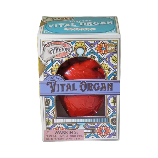 Tiny toys vital organ