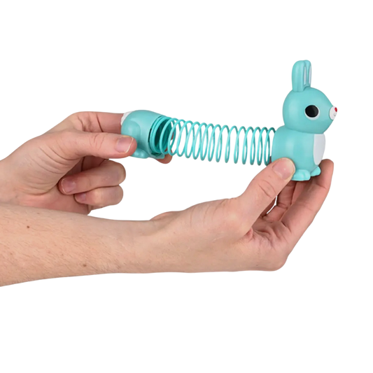 Bunny Fidget Spring