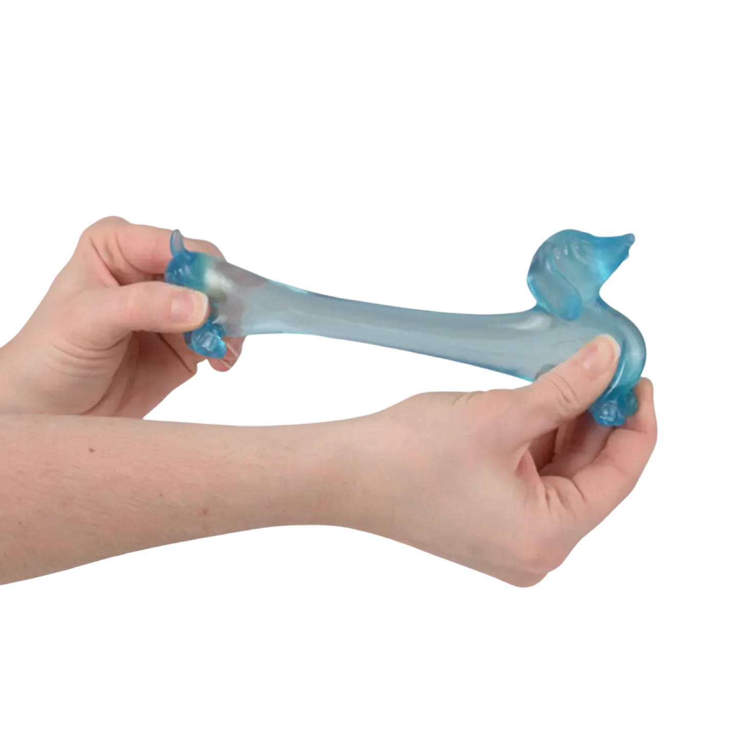 Squeeze Sugar Dachshund