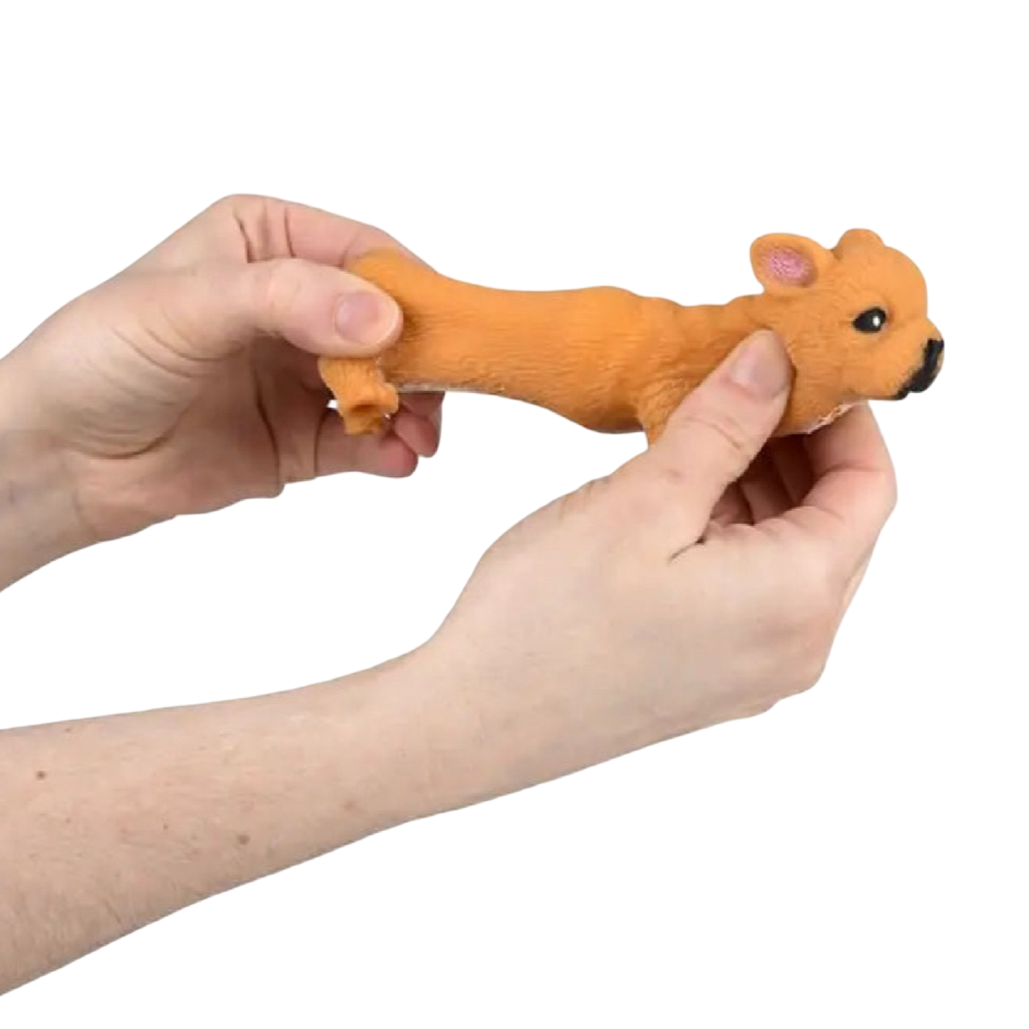 Stretchy Squish Bulldog