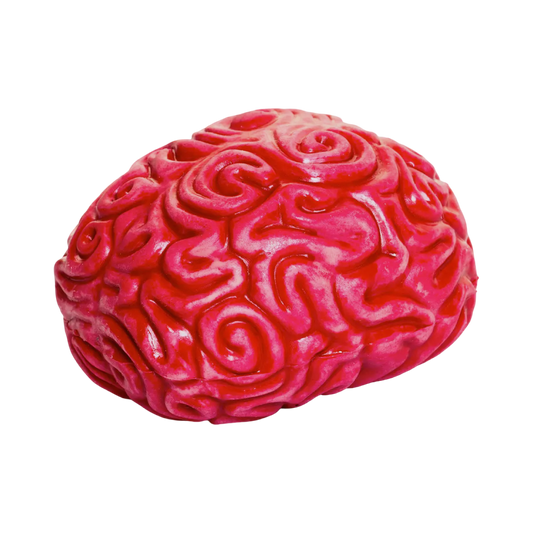 Squishy Brain