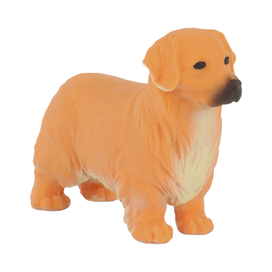 Stretchy Golden Retriever