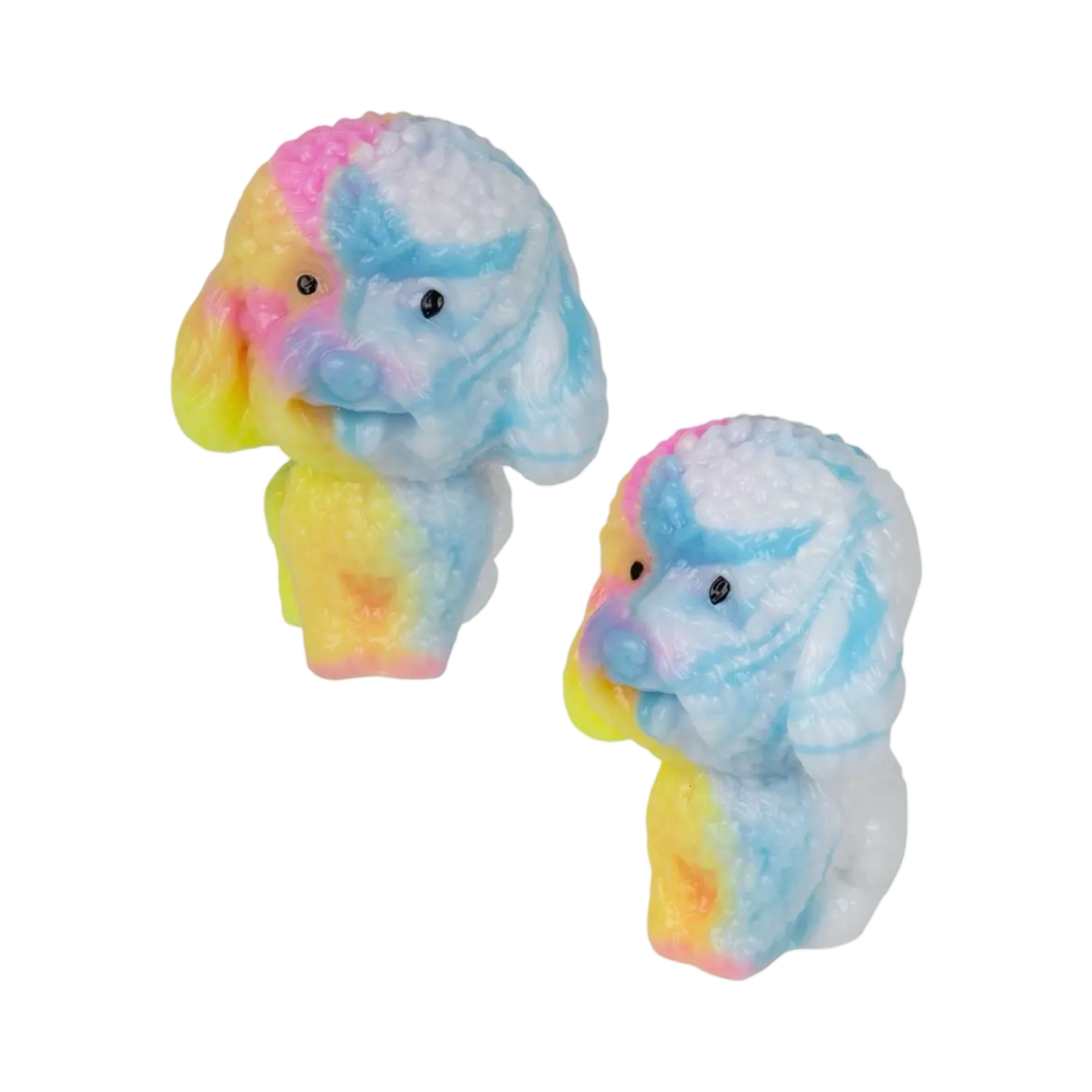 Rainbow Poodle Taba
