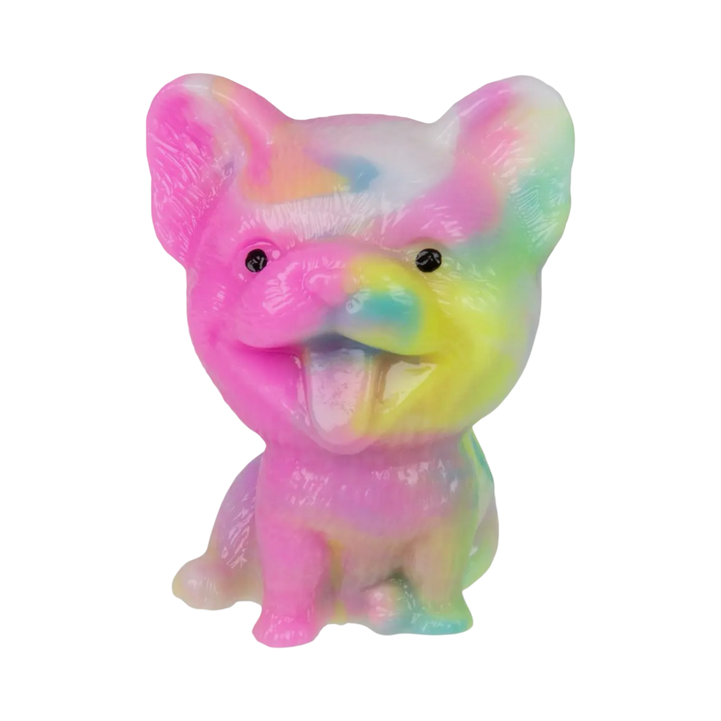 Rainbow Corgi Taba