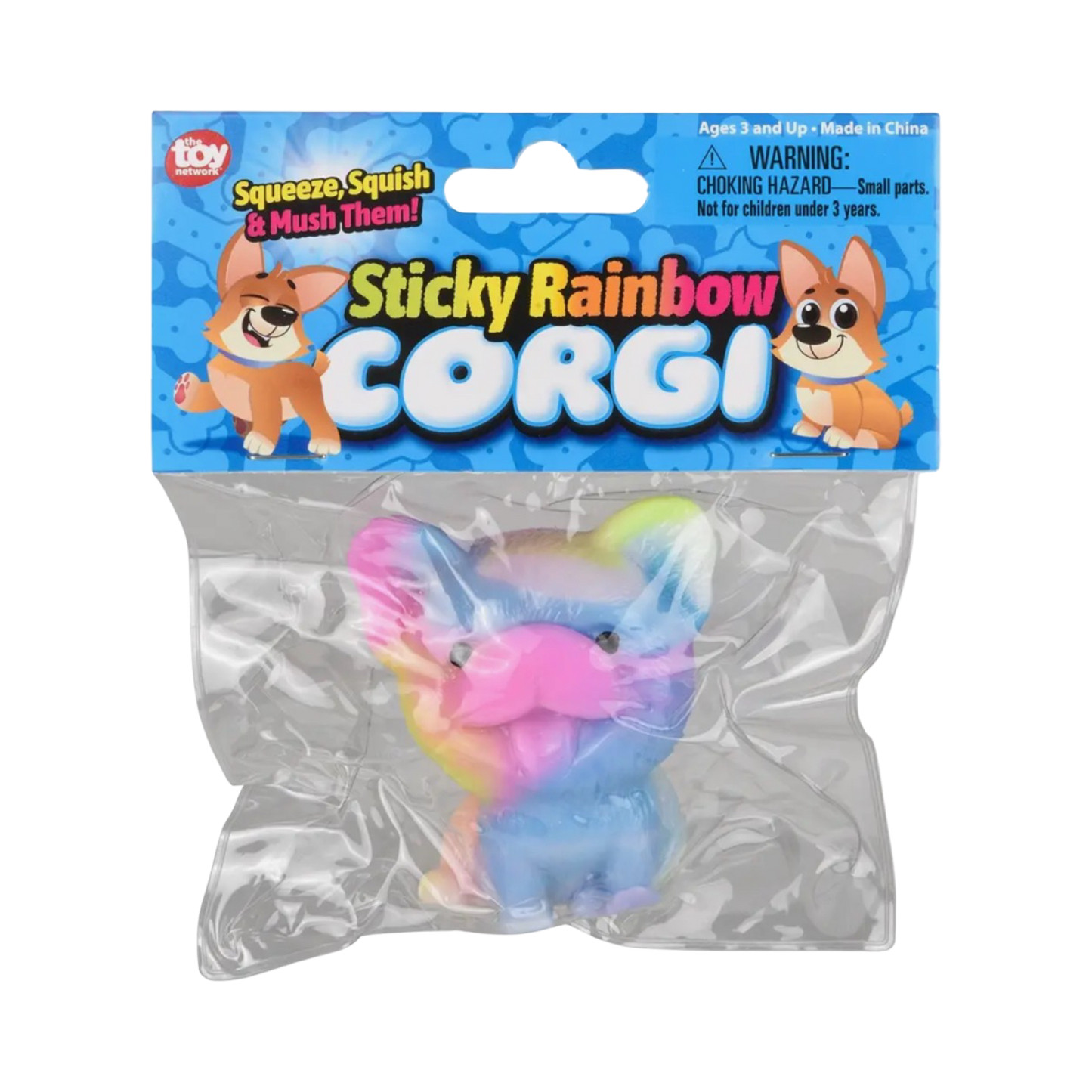 Rainbow Corgi Taba