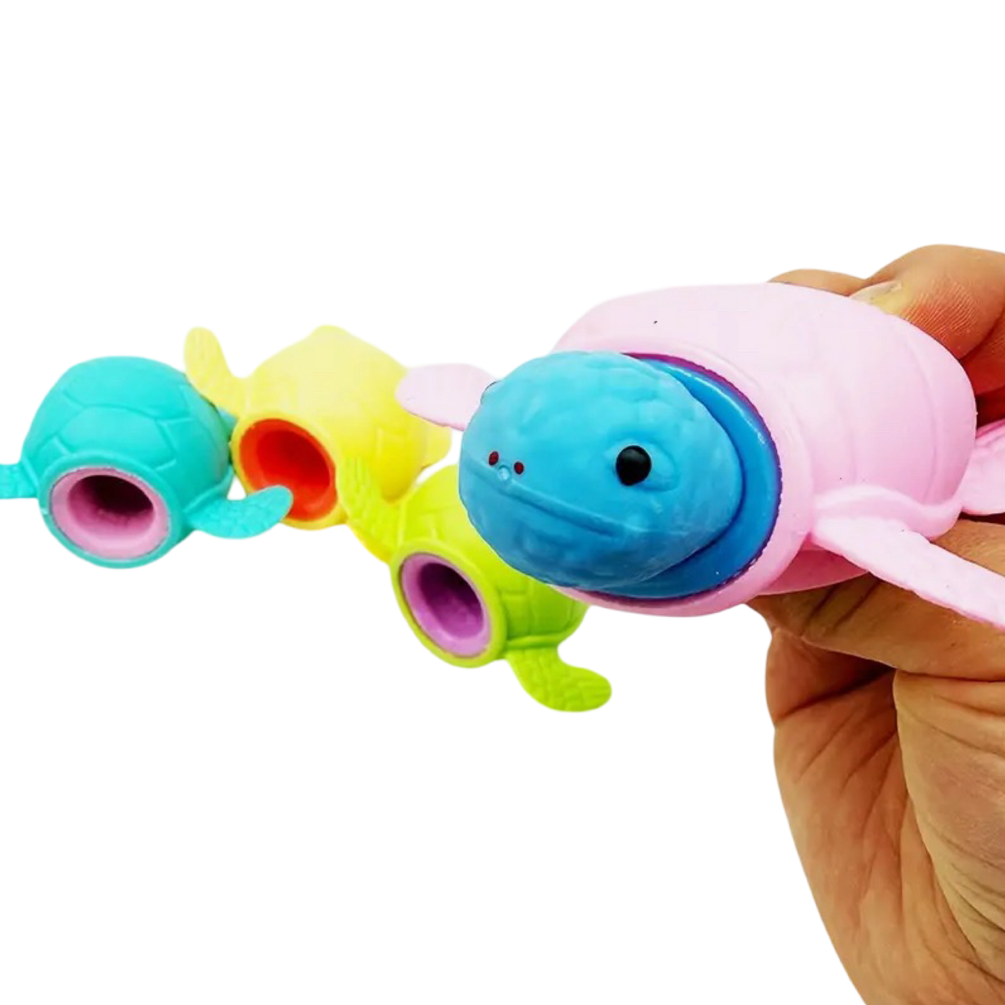 Pop Out Sea Turtle