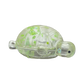 Sugar Sea Turtle
