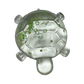Sugar Sea Turtle