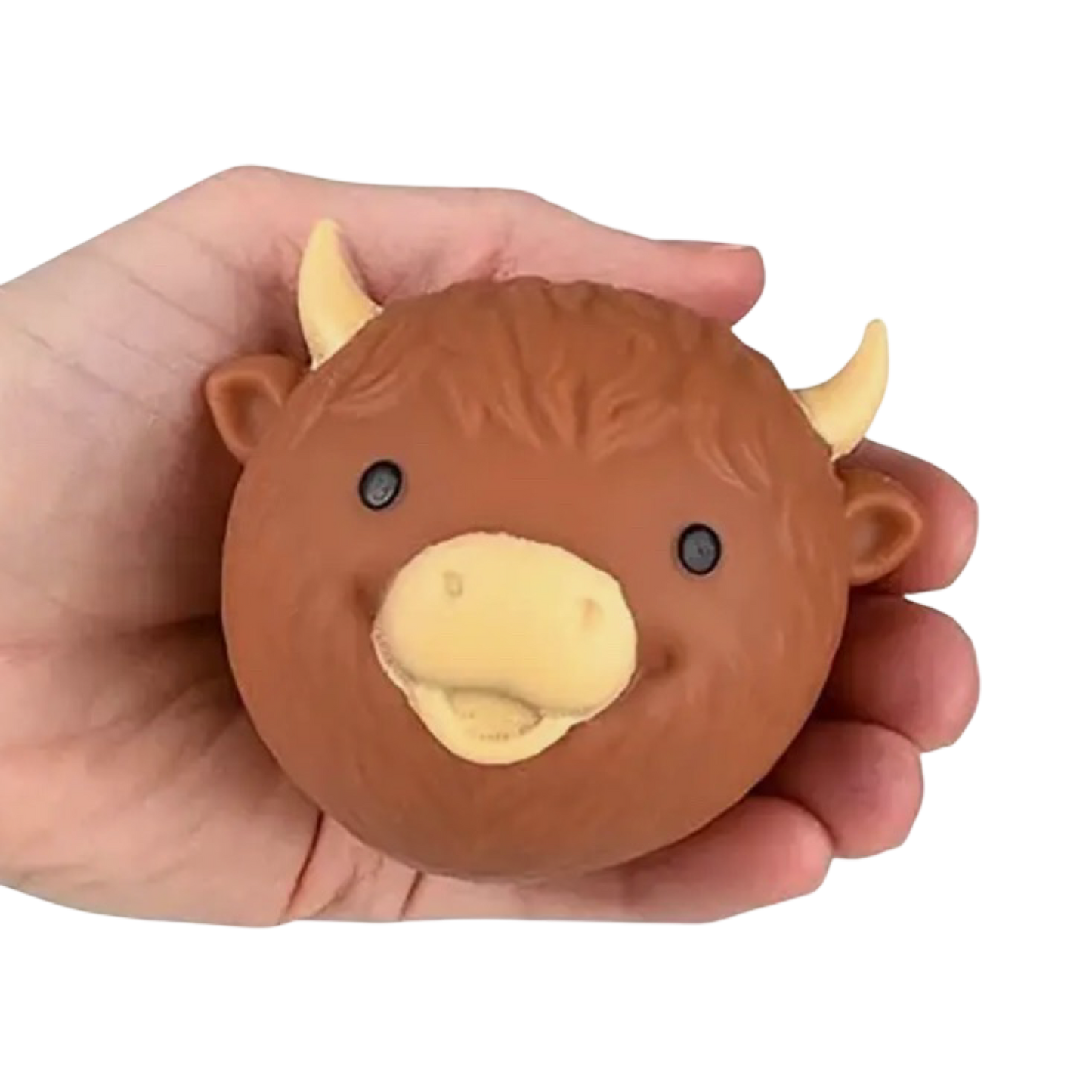 Highland Cow Head