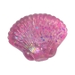 Sugar Seashell