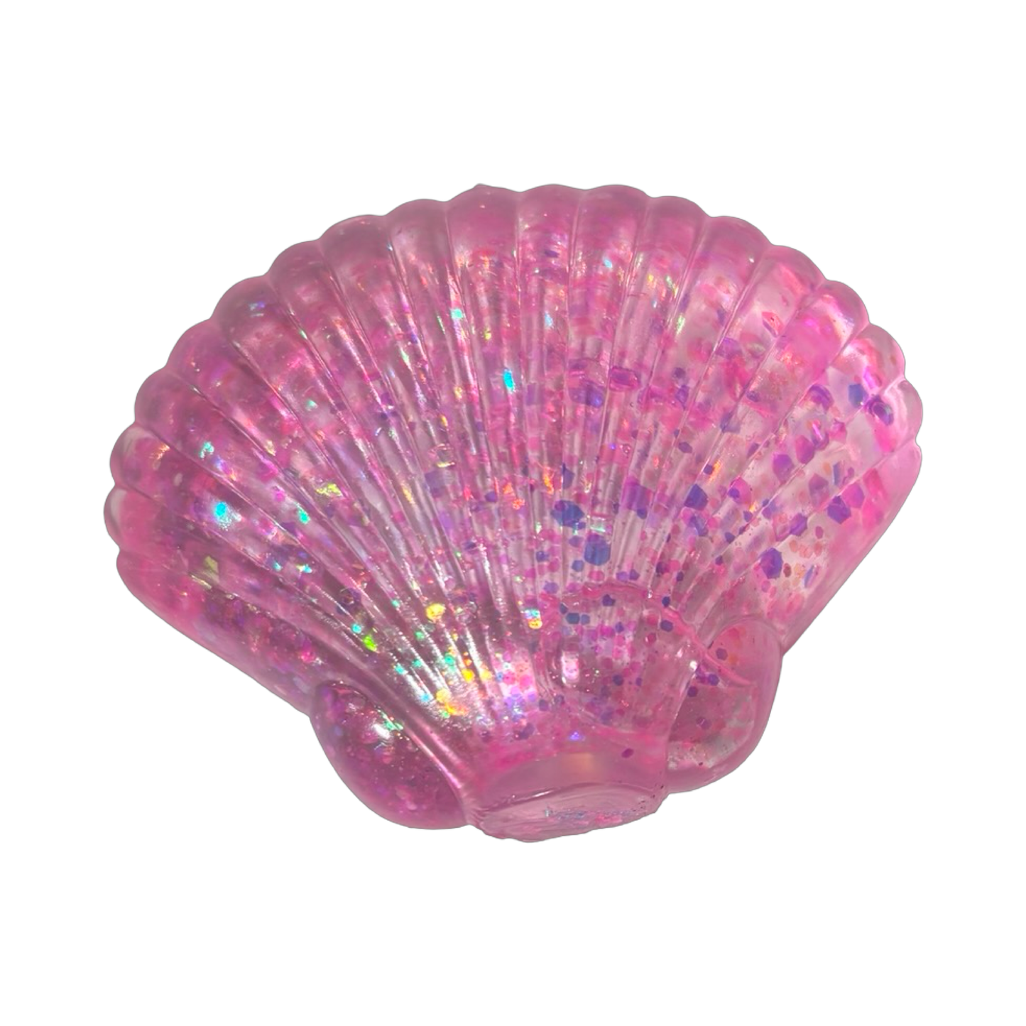 Sugar Seashell