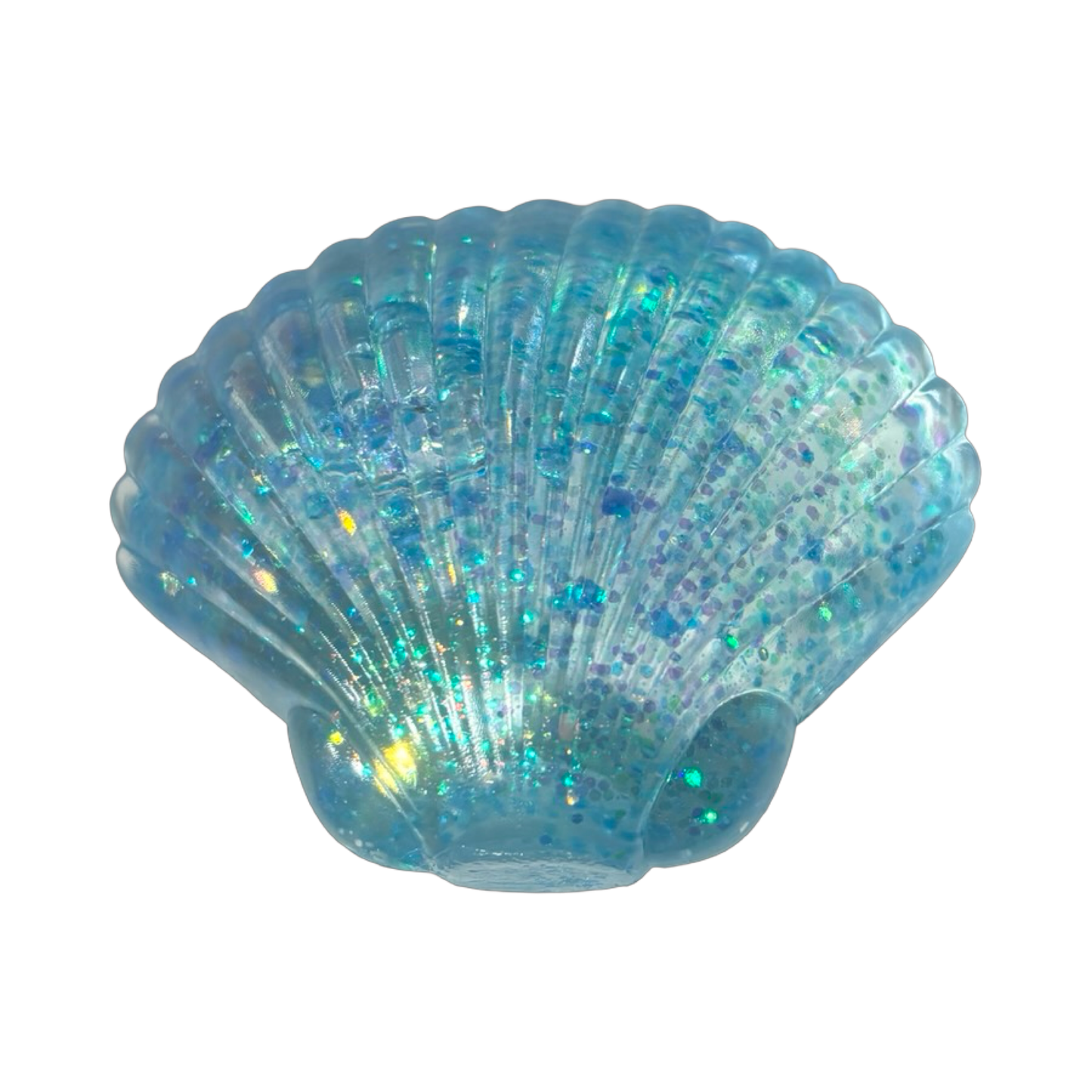 Sugar Seashell