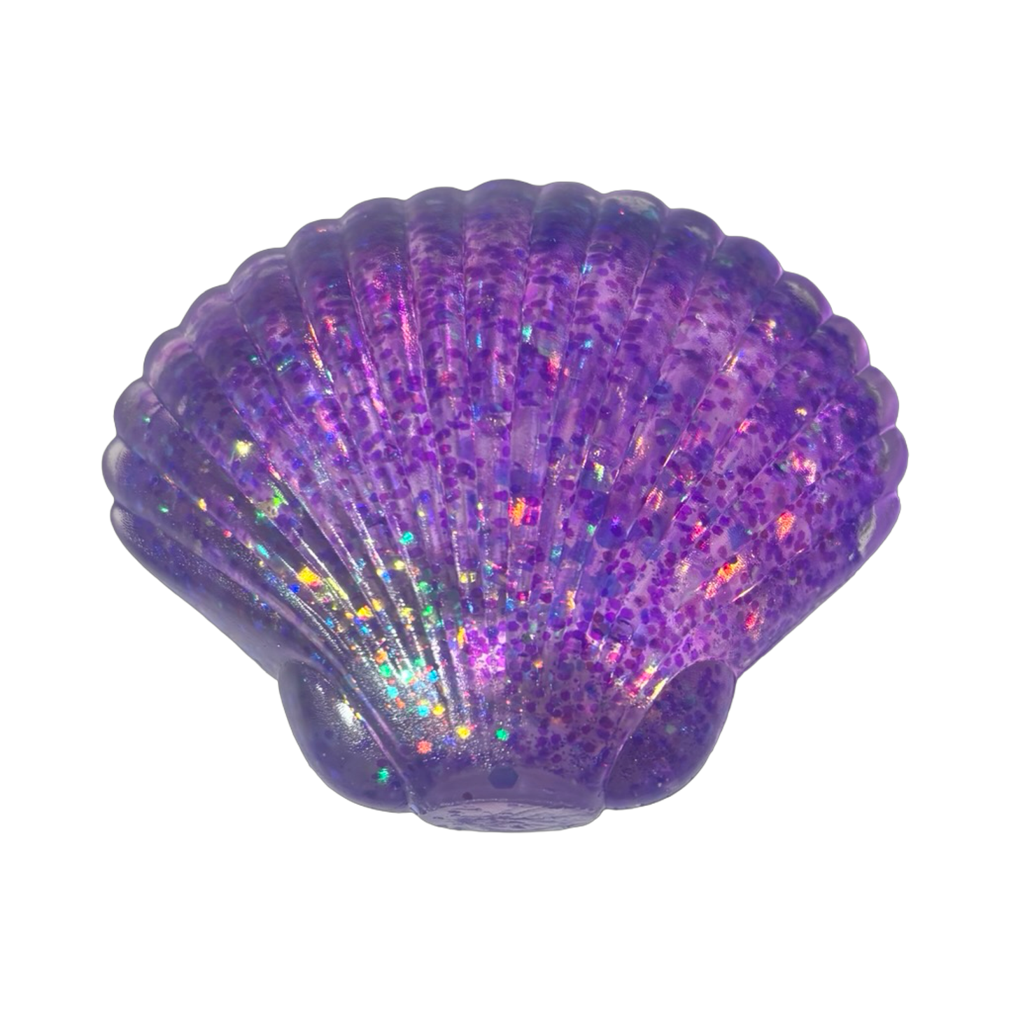 Sugar Seashell
