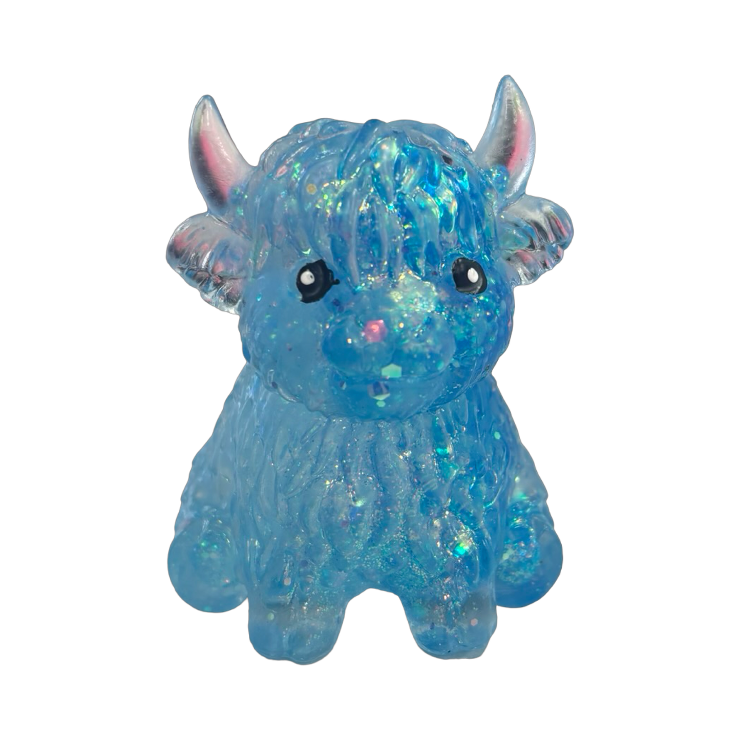 Sugar Highland Cow
