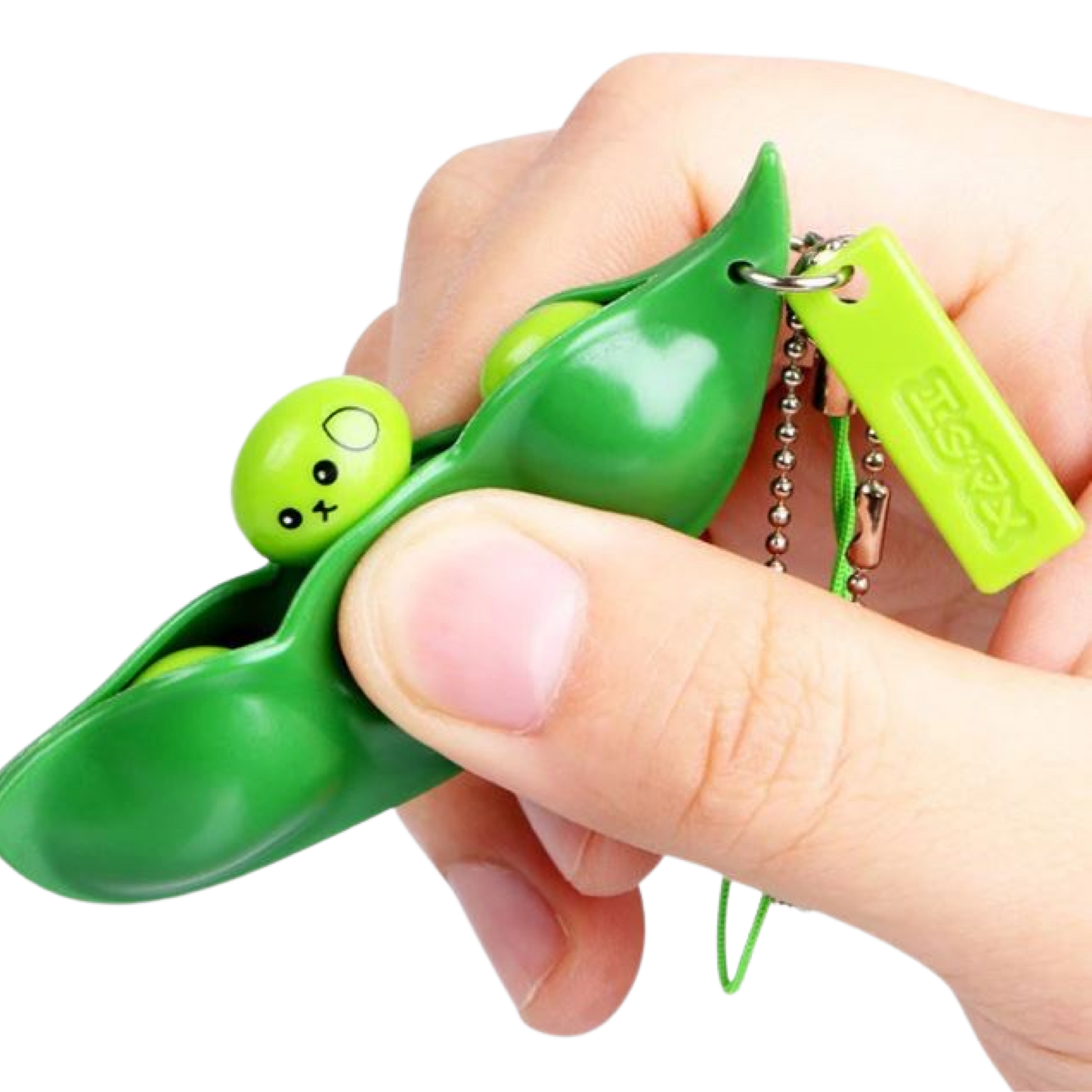 Bean Pod Keychain Fidget Toy
