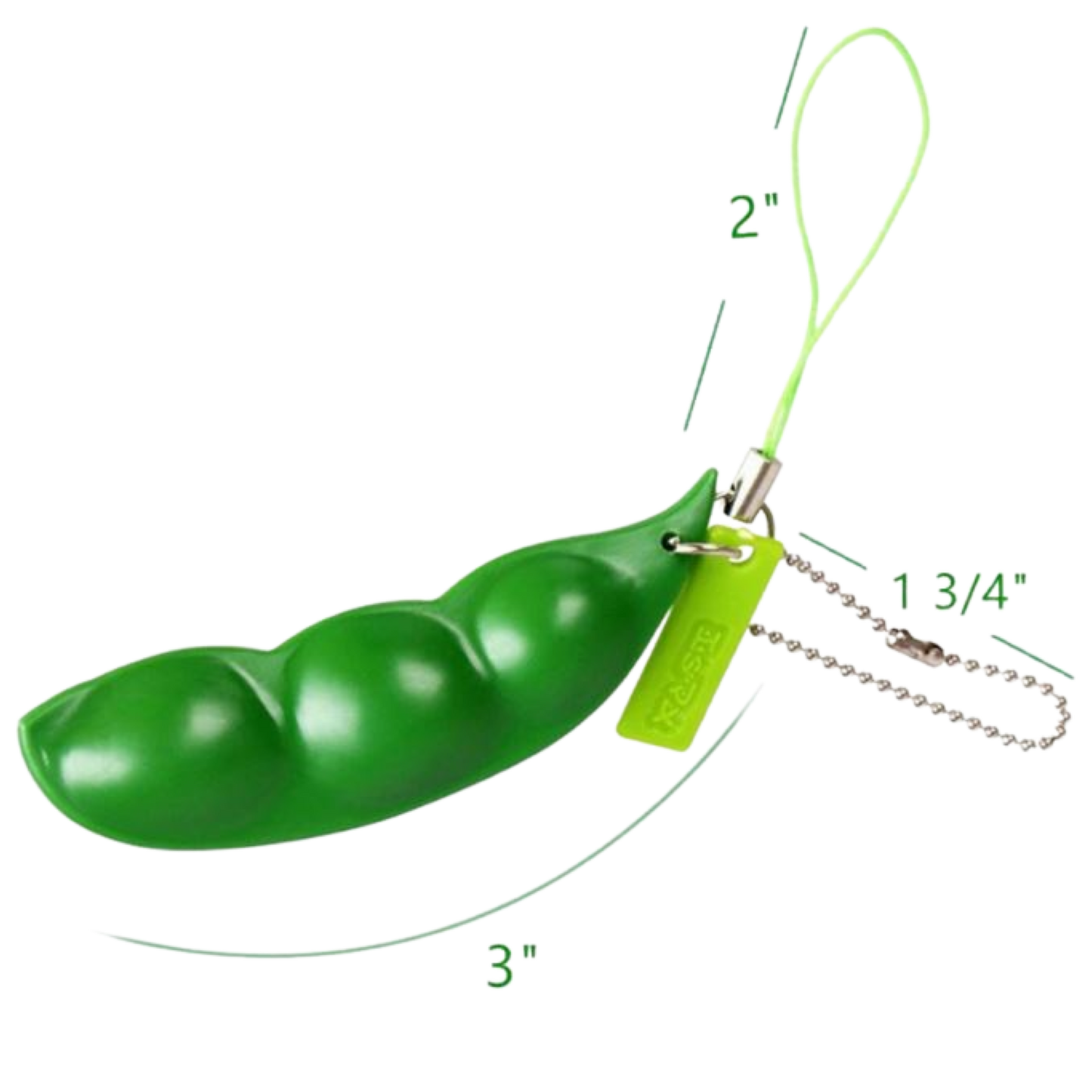 Bean Pod Keychain Fidget Toy